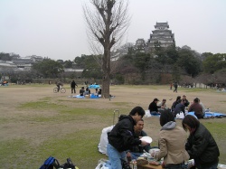 関西旅行　一日目『姫路』_e0066495_21284044.jpg