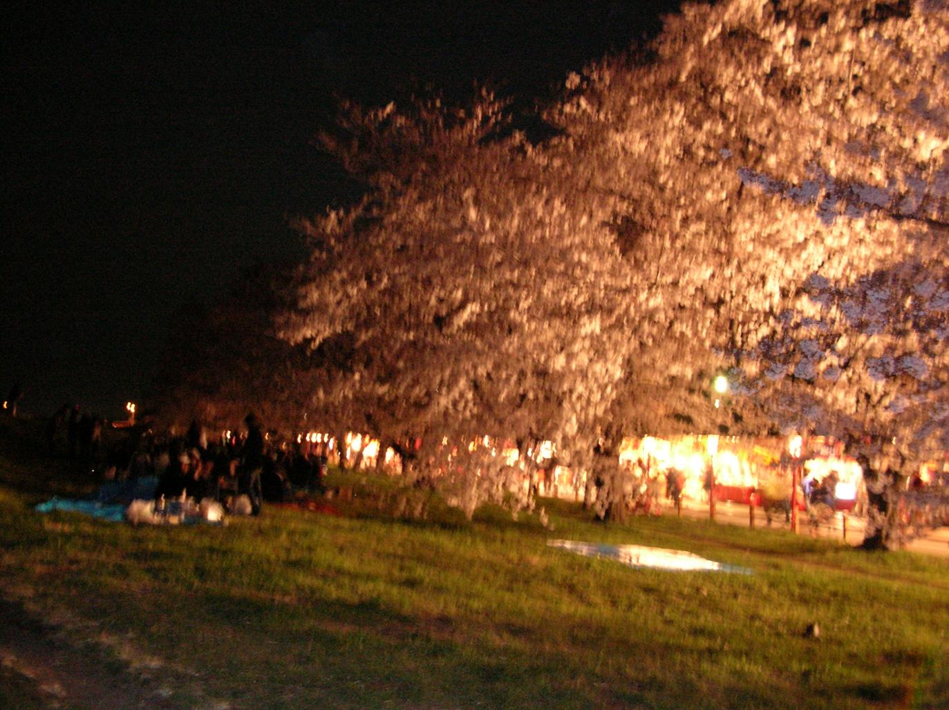 f0103804_22254163.jpg