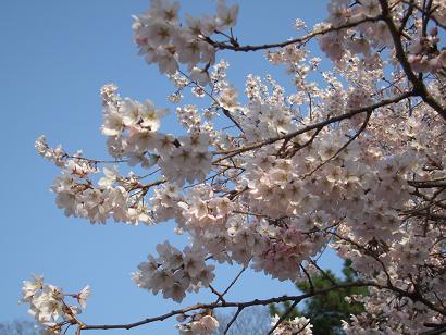 未定稿とは 未定稿 京都 未定稿とは 未定稿 京都