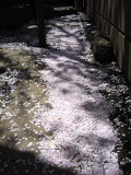 地元の方とのおつきあいって。_d0046025_20362825.jpg