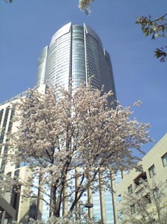 a0040351_20105079.jpg