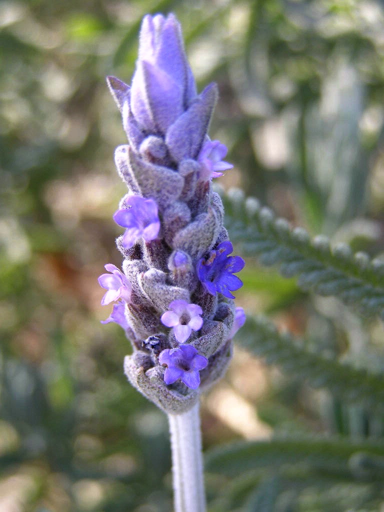 e0064158_021691.jpg