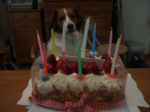 c0075585_046316.jpg