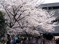 ♪~新学期~♪_f0026093_031234.jpg