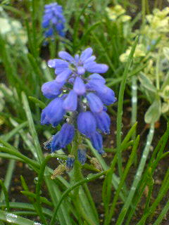 f0052603_2131037.jpg