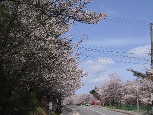 b0050104_21102081.jpg