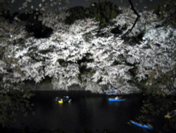 f0006509_20422355.jpg