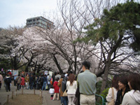 f0006509_21535681.jpg
