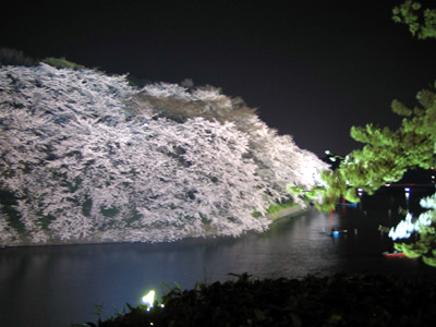 f0006509_2154812.jpg