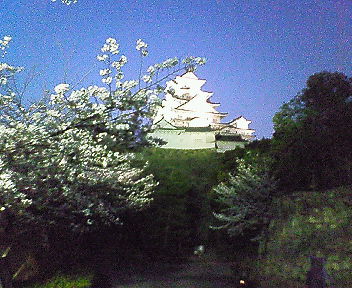 c0024410_2152024.jpg