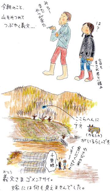 b0015222_211272.gif