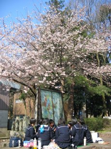 お花見(^.^)_f0067122_16285165.jpg