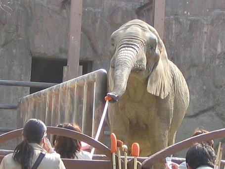 東武動物公園_a0043824_1620691.jpg