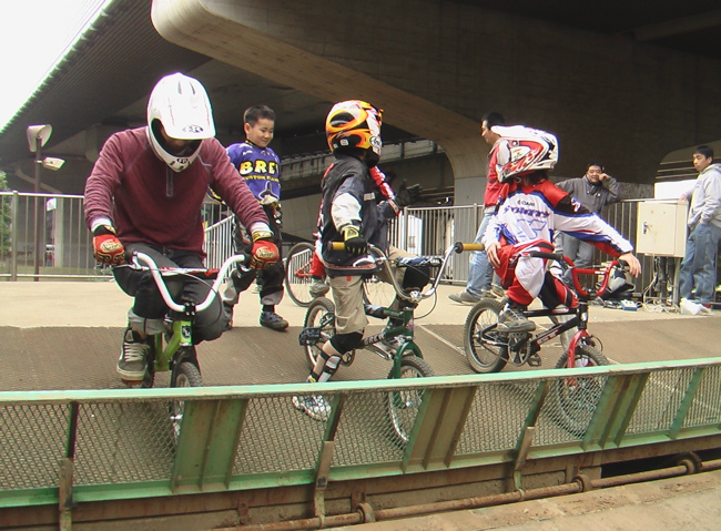 プロジェクト１６ VOL52　JOSF4月川口ゴリラ公園定期戦PIT BIKEレース_b0065730_852331.jpg