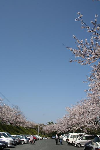 e0031550_19591557.jpg