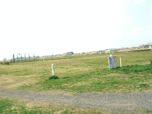 b0035453_1133794.gif