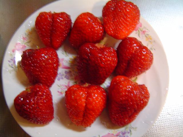 b0024266_11542820.jpg