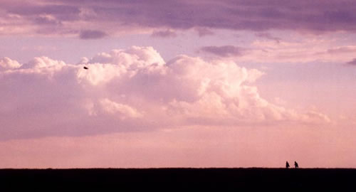 b0000372_16513072.jpg