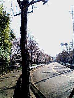 f0008085_20365066.jpg