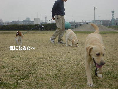 競馬場で運動会_e0057499_21494484.jpg