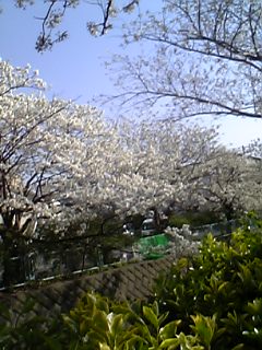 a0013905_10162928.jpg
