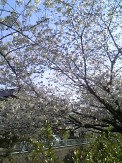 a0013905_10164490.jpg