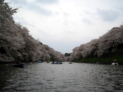 f0006509_1471570.jpg