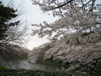 f0006509_1502433.jpg