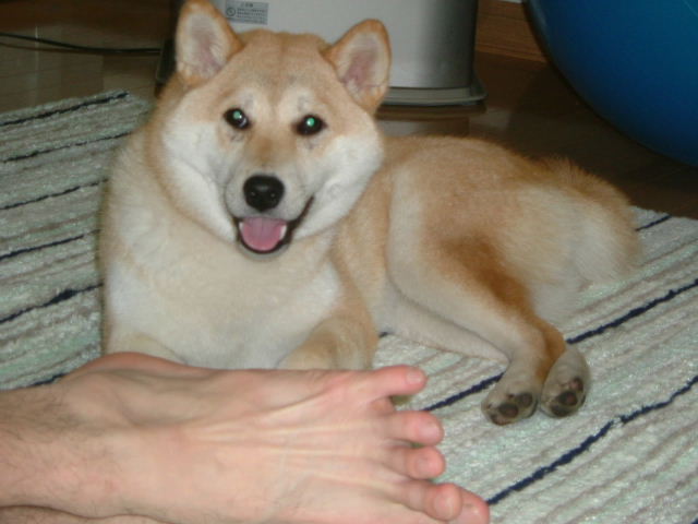 e0090110_23221045.jpg