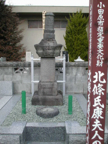 e0086815_933393.gif