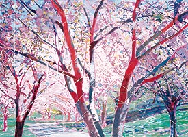 桜祭 at Brooklyn Botanical Garden_f0095325_15492150.jpg