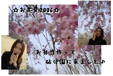 やっとのお花見~♪♪_c0043737_17132152.jpg