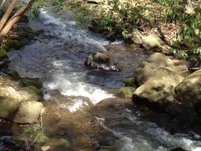 f0090444_2371475.jpg