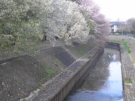 c0062954_2246132.jpg