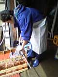 d0007957_23224572.jpg