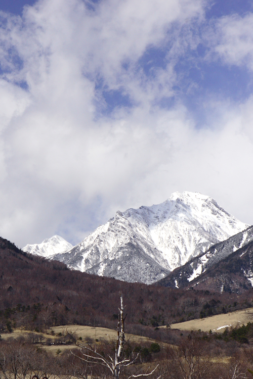 大好きな八ヶ岳の山麓へ行ってきました・・・_e0025661_5305079.jpg