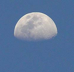 a0020763_22454077.jpg