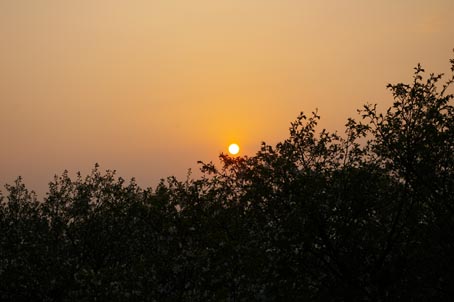 06年版桜だより⑦（六国見山、山桜と夕陽の幻想の世界　4・7）_c0014967_8423196.jpg