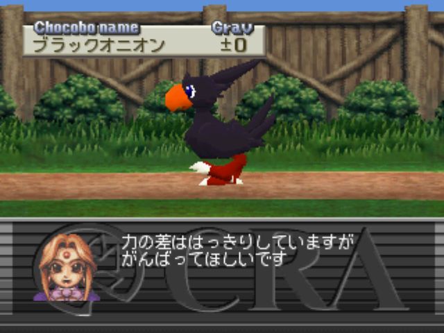 大穴と呼ばれし一粒の球根 チョコボスタリオン Aogondo 悪魔の日々 大穴と呼ばれし一粒の球根 チョコボスタリオン Aogondo 悪魔の日々