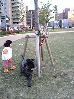 c0037701_14262747.jpg