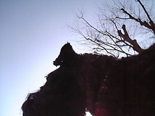 c0037701_14264790.jpg