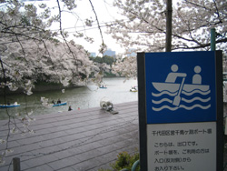 f0006509_264190.jpg