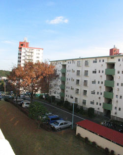 e0093914_1981239.jpg