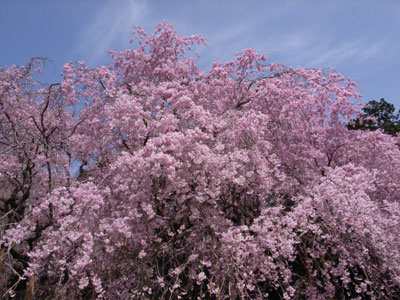 f0067724_21495862.jpg