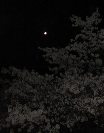 f0107724_19223092.jpg
