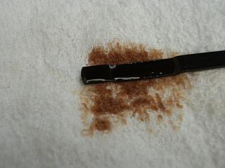 f0010925_1848411.jpg