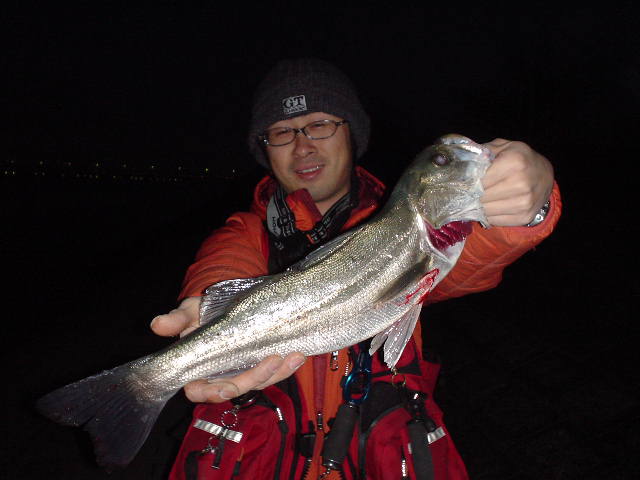 a0041128_12552220.jpg