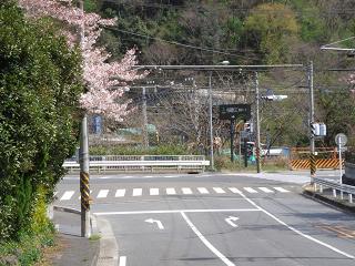 a0048040_15325554.jpg