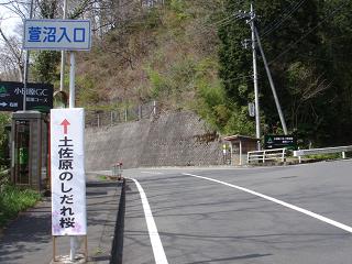 a0048040_1533673.jpg