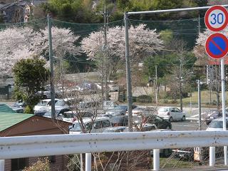 a0048040_1543495.jpg